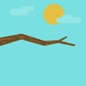 animation of caterpillar turning into butterfly